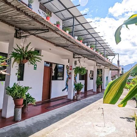 Shoffi'S House Backpackers Hotel Tarapoto Eksteriør billede