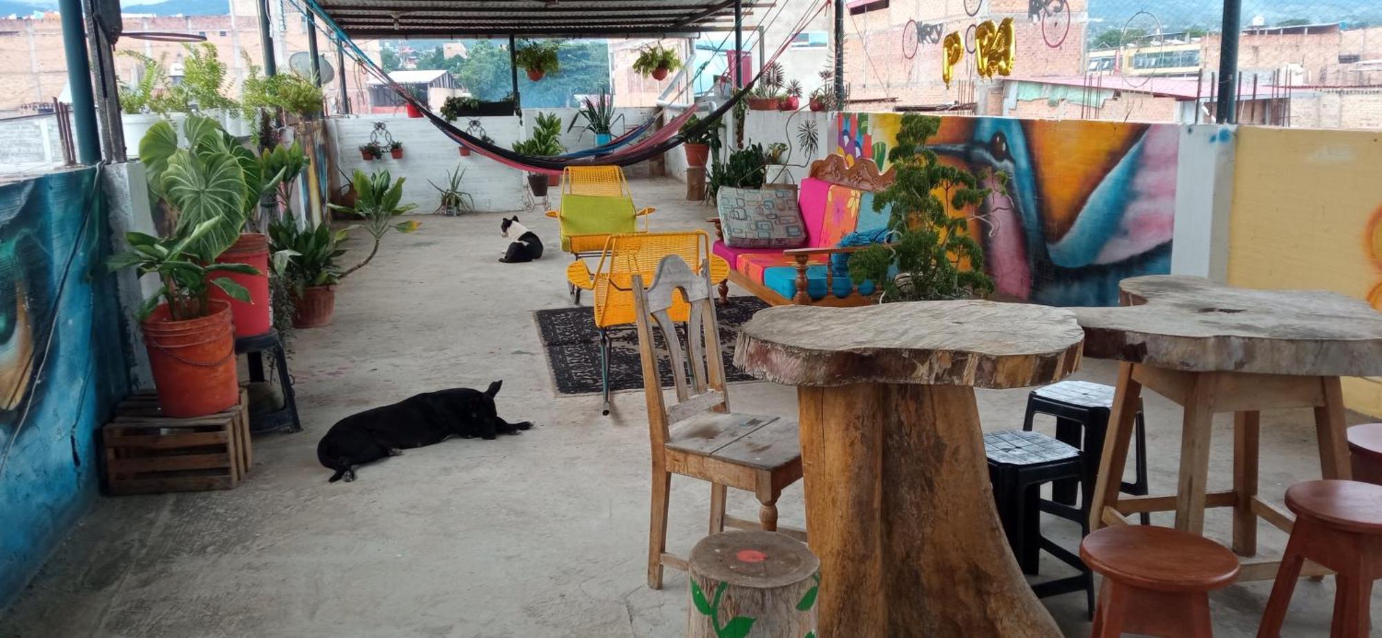 Shoffi'S House Backpackers Hotel Tarapoto Eksteriør billede